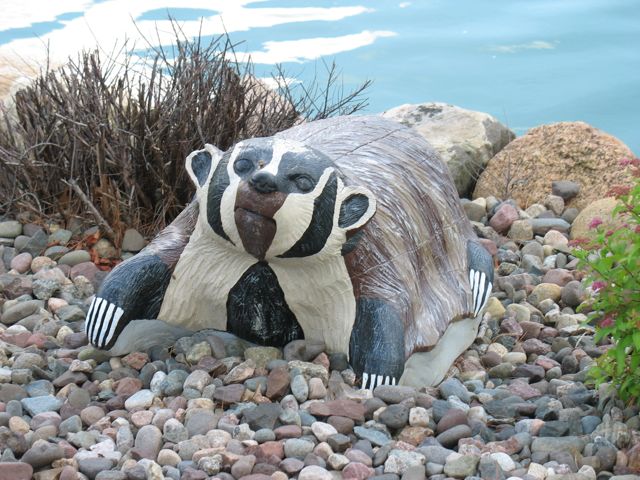 Beaver