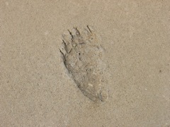 More tracks