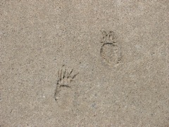 Tracks, Part 4