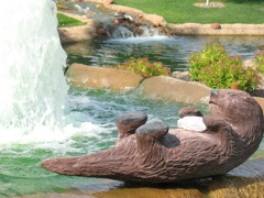 A bathing otter