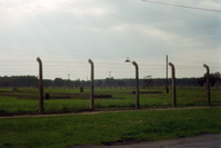 Birkenau Barbed Wire