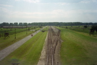 Birkenau Railroad Tracks