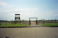 Birkenau Subcamp