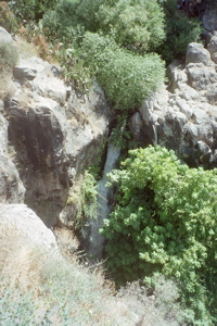 Nahal David - Spot where Saul and David stood
