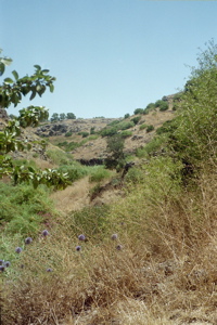 Galilee Overlook