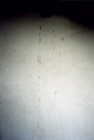 Fingernail Scratches on Gas Chamber Walls in Majdanek