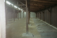 Ground Barracks at Majdanek