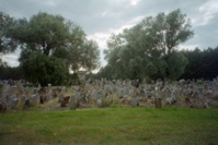 17000 Stones at Treblinka