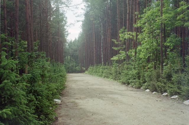 Memorial Trees at Sobibor