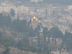 Crazy Golden Onion Domes