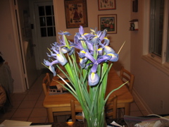 Irises!