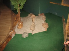 H hole 4
