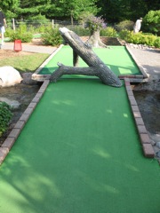 S hole 8