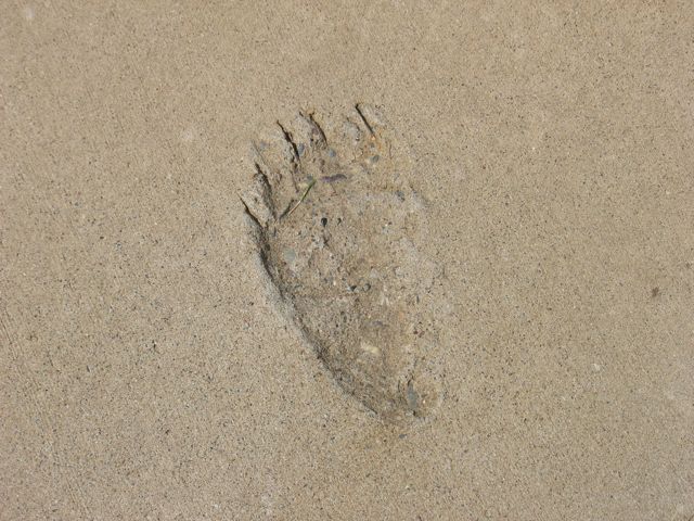 More tracks