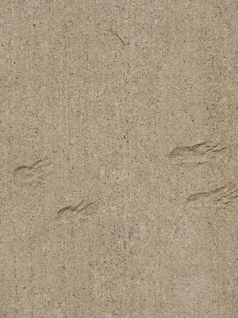 Third tracks