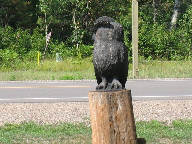 Unknown animal