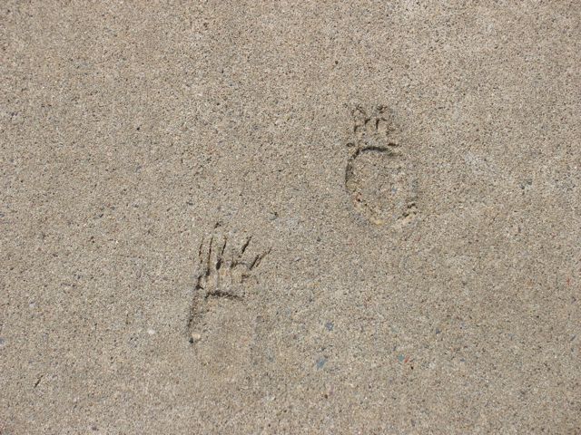 Tracks, Part 4