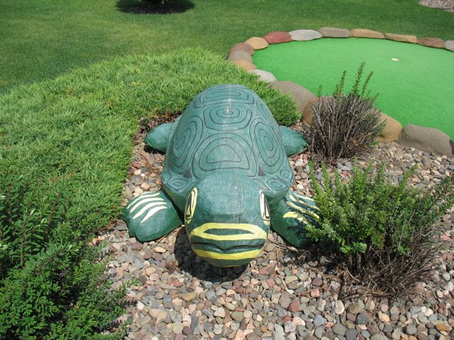 A turtle at Wilderness Mini Golf