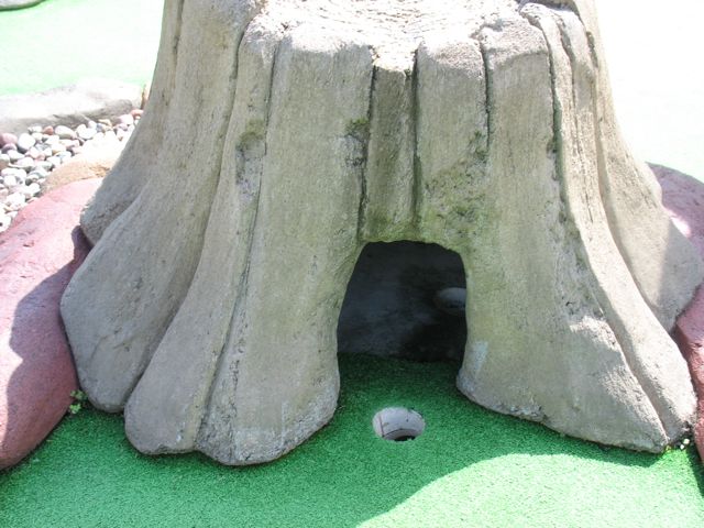 W hole 11 stump hazard