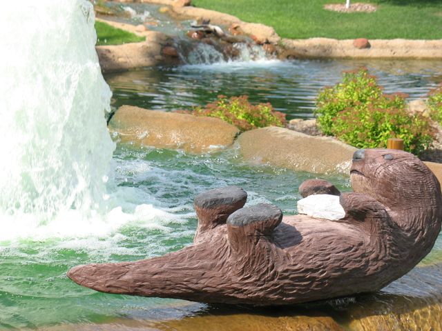 A bathing otter