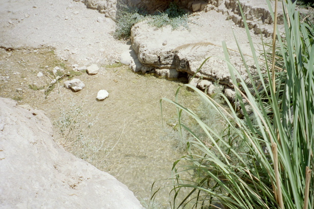 Ein Gedi