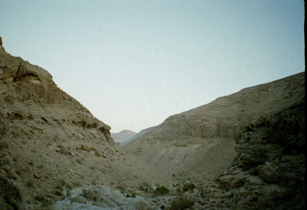 Nahal Gov
