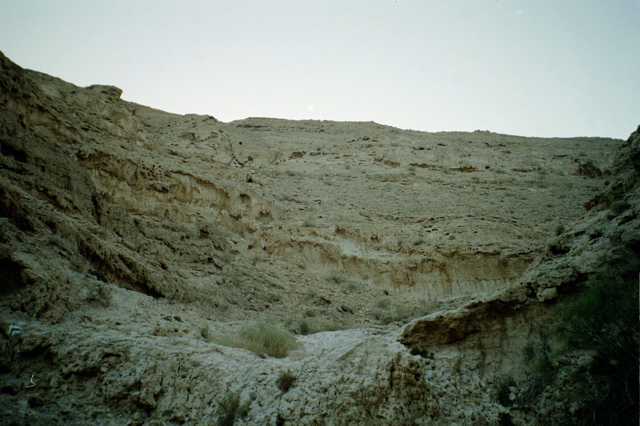 Nahal Gov