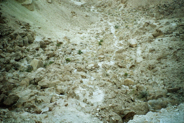 Rocky Trail at Nahal Gov
