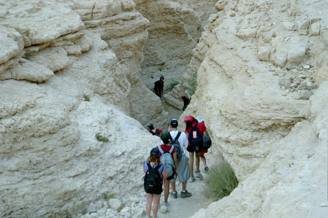 Ruth, Maya, Josh, Cynthia, et Al hike in Nahal Gov