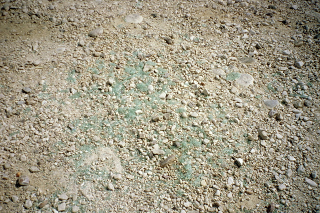 Broken Glass
