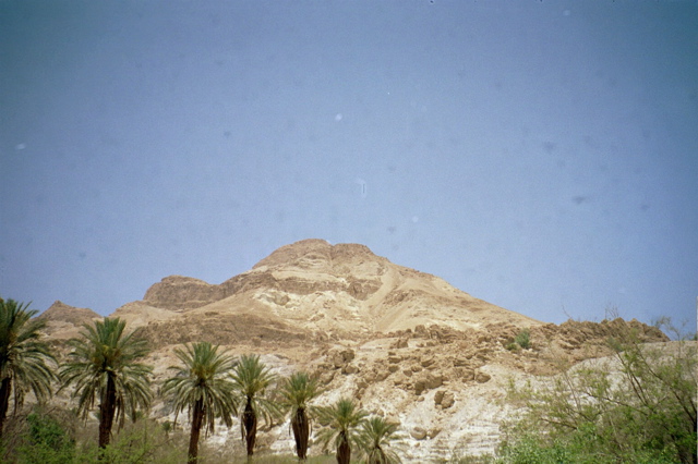Ein Gedi
