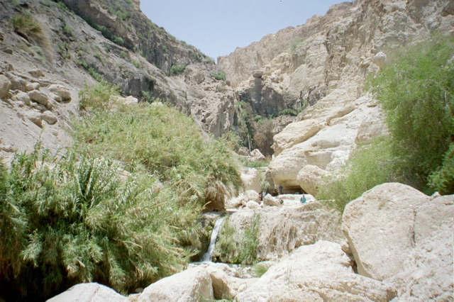Nahal David