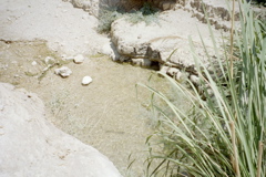 Ein Gedi