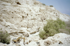 Construction at Ein Gedi