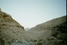 Nahal Gov