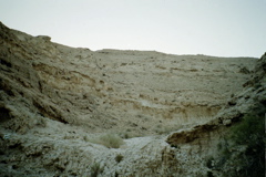Nahal Gov