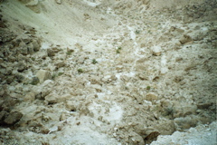 Rocky Trail at Nahal Gov