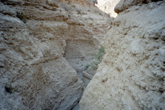 The 'Cavernous' Nahal Gov
