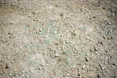 Broken Glass