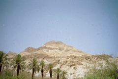 Ein Gedi
