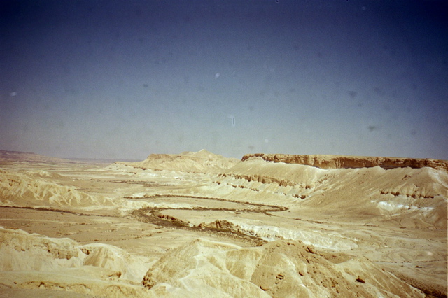 Cool Desert Shot