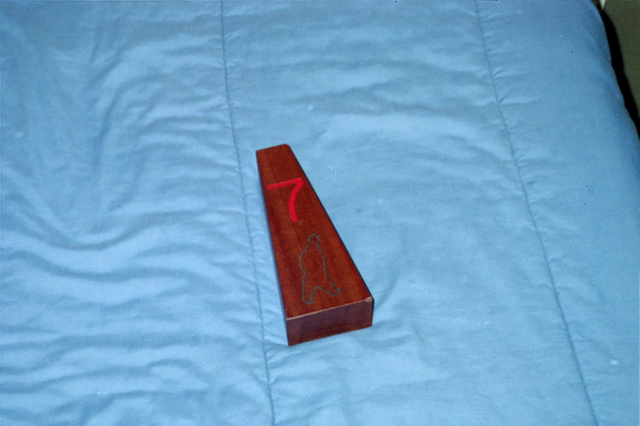 The Coveted "Hillel Award"