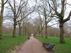 London's Green Park