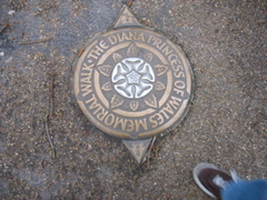 The plaque