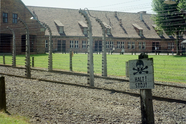 Auschwitz Fence