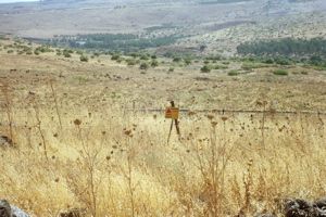 Galil - Danger Mines! Sign