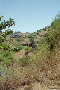 Galilee Overlook