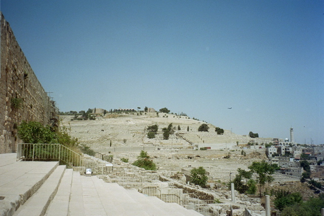 Har Hertzl from Southern Wall