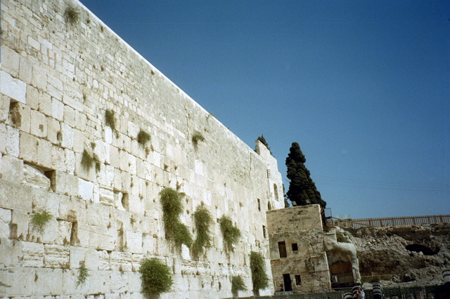 Kotel