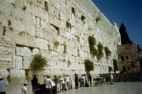 Davening at Kotel